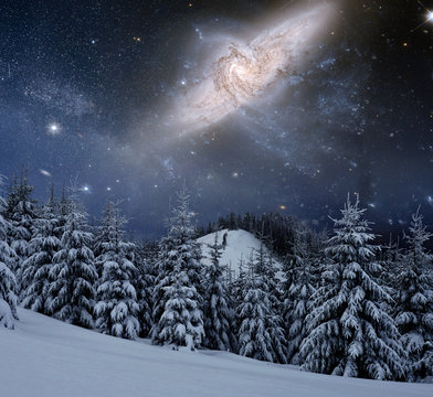 magical winter snow covered tree. Winter landscape. Vibrant night sky with stars and nebula and galaxy. Deep sky astrophoto. Elements furnished by NASA