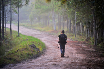 the tourist walking on the pathway in foggy forest