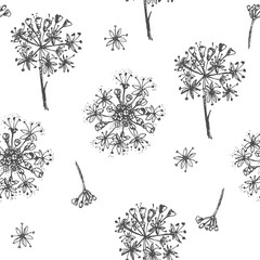 Simple seamless pattern with Realistic Botanical ink sketch ginseng flowers solated on white, floral herbs collection. Traditional chinese medicine plant.