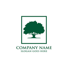 Oak tree logo template