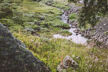 Fototapeta na wymiar stream in hardangervidda landscape