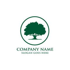 Oak tree logo template