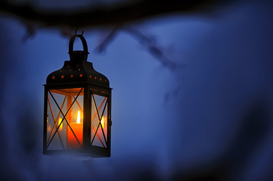 Candle lantern hanging from tree branch.