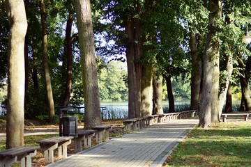 Beautiful park in the medieval city
