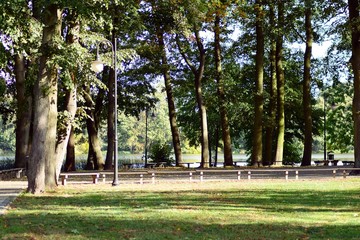Beautiful park in the medieval city