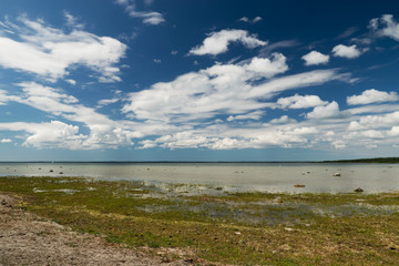 Fototapeta na wymiar Seashore in beautiful Kassari island in Estonia.