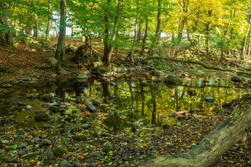 Vattendrag genom naturreservat