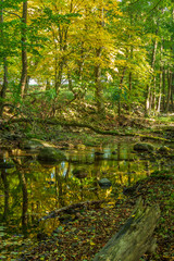 Vattendrag genom naturreservat