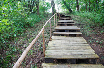 wooden staircase in the forest
