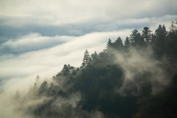 Naklejka premium Levé de soleil Jura vaudois 3