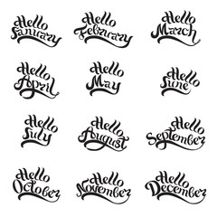 Fototapeta premium Names of all months of the year written by hand. Lettering. Beautiful letters on white background. Isolated image for invitations, calendars, t-shirt prints and more