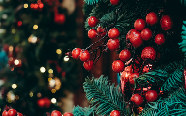 Big bright ripe red berries and lustrous baubles on green fir tree branches and sparkling lights on dark background for Christmas and New Year holidays