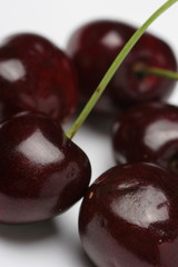 採れたてのサクランボ