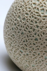 マスクメロンの模様