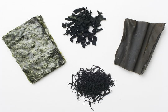 海藻類 の画像 3 1 件の Stock 写真 ベクターおよびビデオ Adobe Stock