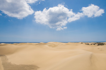 Fototapeta na wymiar Dunes of maspalomas, on a hot day