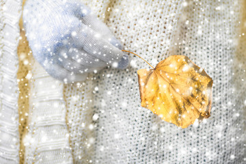 Female hand in knitted gloves with a dry leaf on the winter snowfall . Change of season. Concept