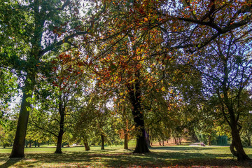 Obraz na płótnie Canvas Herbst im Park