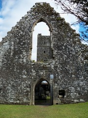 Ruined abbey cork ireland