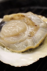 とれたてのホタテの調理