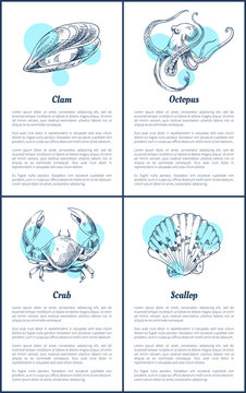 Clam and Octopus, Crab and Scallop Vector Icons