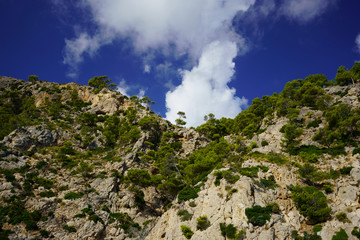 Cliffs and pine trees on Majorca's north coast, Balearic Islands, Spain.