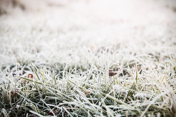 grass is frozen in ice crystals on the backdrop of the setting sun