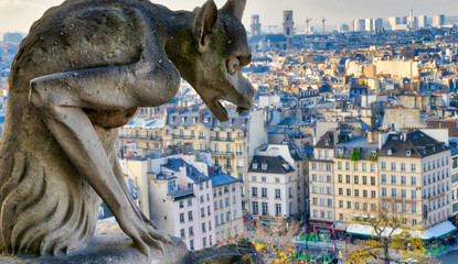 Chimera (Gargoyle) of the Cathedral of Notre Dame de Paris overlooking Paris on a beautiful sunny...