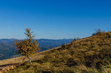 Carpathian mountains in sunny day in the autumn season