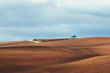 road in desert