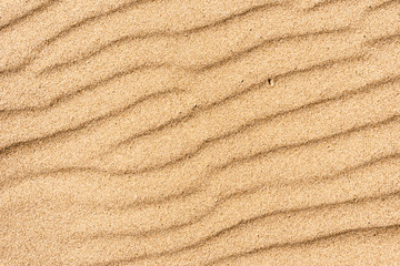 Fototapeta na wymiar Sandy background - sandy surface with wind stripes