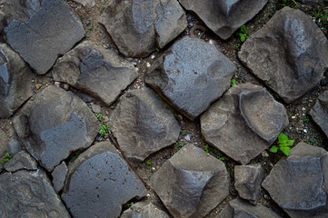 Close up, flat lay. The texture of the old road. Gray cobblestones of paving stones, sometimes...