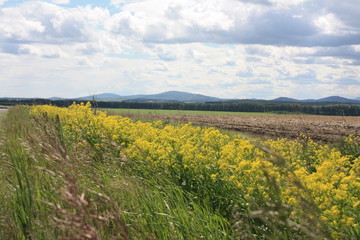 The expanses of the Southern Urals