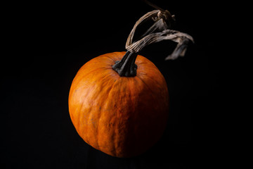 Pumpkin, Halloween, Background, Smoke, on a black background