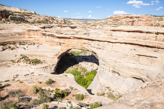 Fototapeta Natural Bridges National Monument in Utah, USA