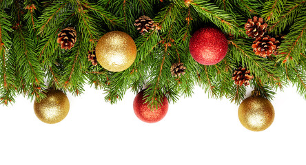 Christmas tree branches on white