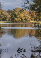 riseholme collage park