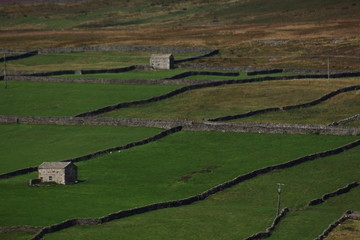 Limestone dry stone walls,with an old barn.