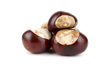Isolated Horsechestnut Aesculus Hippocastanum Seed. Also Horse-Chestnut or Conker Tree.