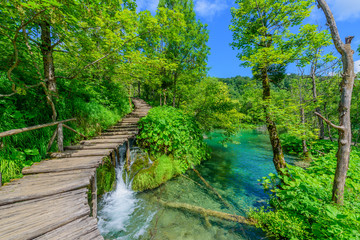 Fototapeta na wymiar PLITVICE NATIONAL PARK, CROATIA - JUNE 8, 2018: Tourist group by the lake in the Plitvice Lakes National Park.