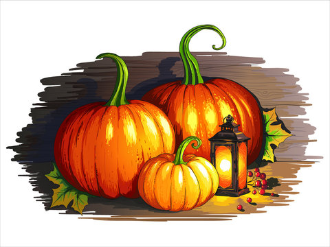 Vector illustration of three big pumpkins and a vintage tin lantern. In sketch style.