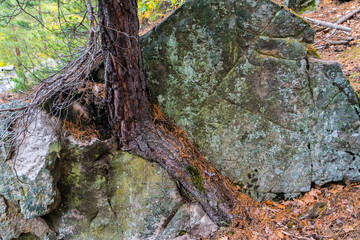 Содружество