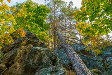 Устремление в небо