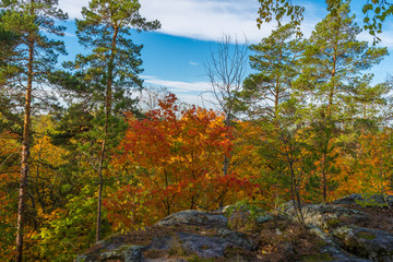 Золото осени