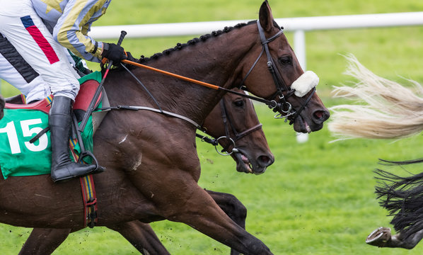 Close-up on horses racing