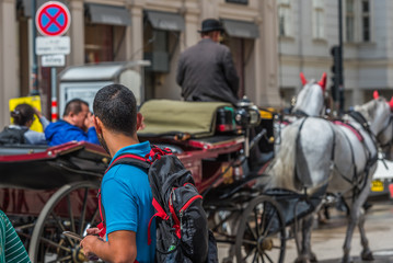 A coachman in a cart in the center of the city, Vienna, Austria.