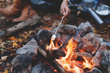 Friends roasting sweet marshmallow on a fire in the evening in the autumn forest.