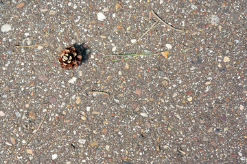 ground texture