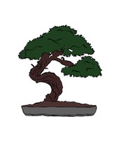 BONSAI