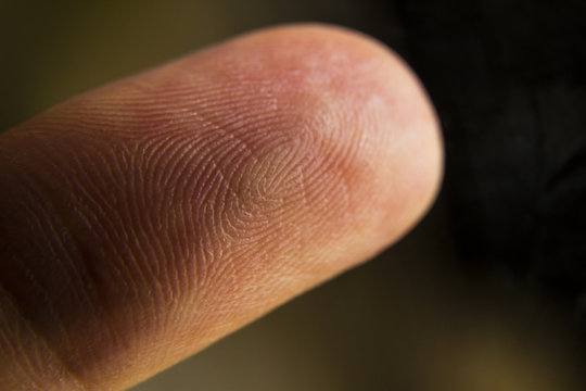 An Extreme Macro Closeup Of A Fingertip